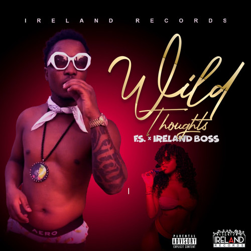 Wild Thoughts (Explicit)