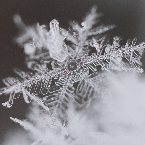 雪落下的声音