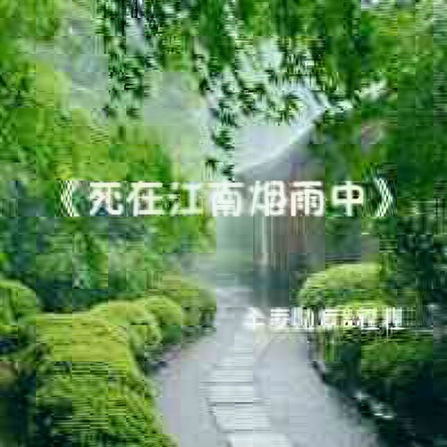 死在江南烟雨中
