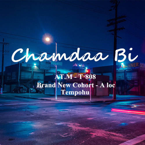 Chamdaa Bi
