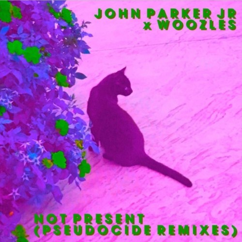 Not Present (Pseudocide Remixes)