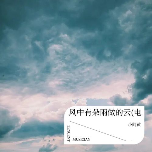 风中有朵雨做的云(电音版)