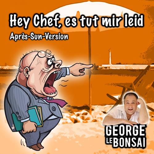 Hey Chef, es tut mir leid