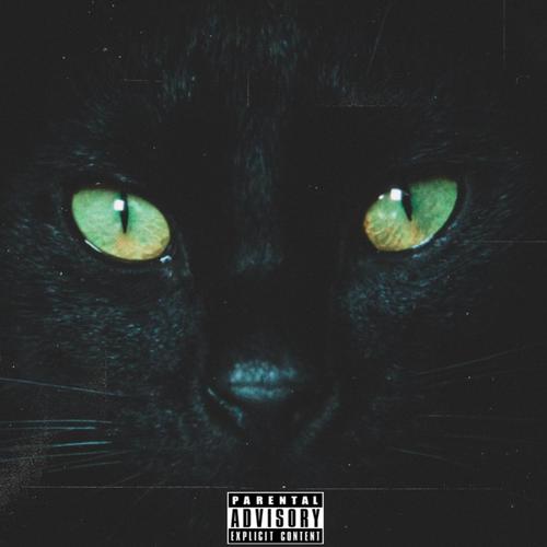 gatos en el techo (Explicit)