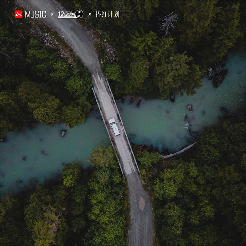 举头望明月