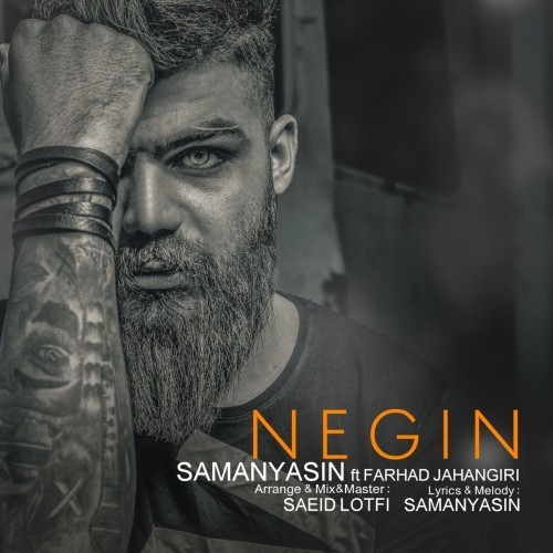 Negin