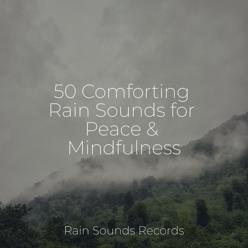 50 Comforting Rain Sounds for Peace & Mindfulness