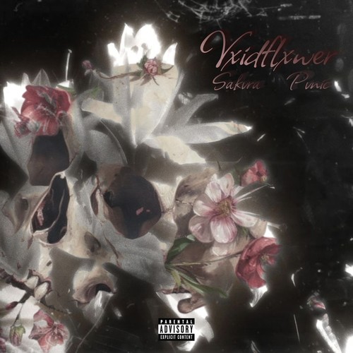 Vxidflxwer (Explicit)