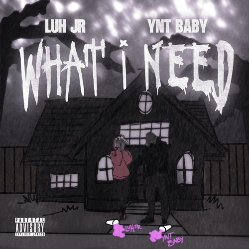 What i need (feat. Luh jr) [Explicit]