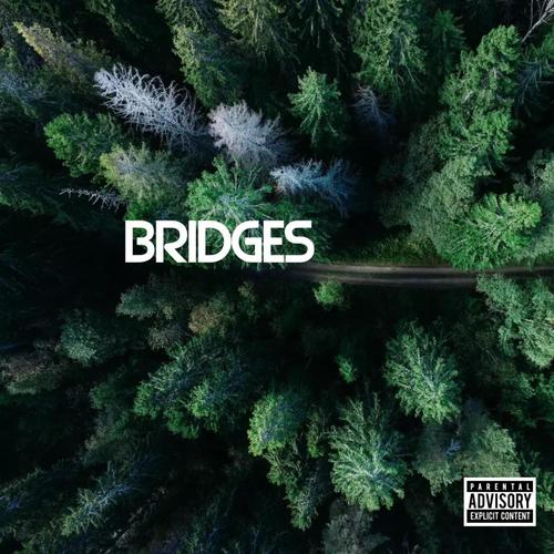 Bridges (feat. Franc Moody, 8percent & Ciscaux) [Explicit]