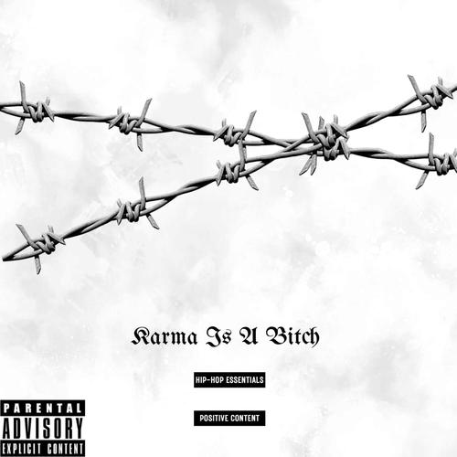 Karma Is A ***** (Explicit)