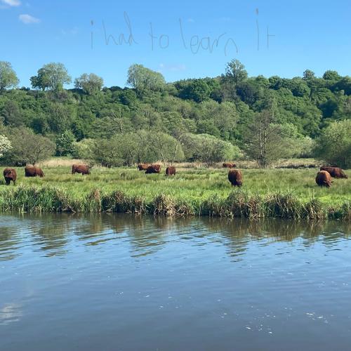 i had to learn it. (Explicit)