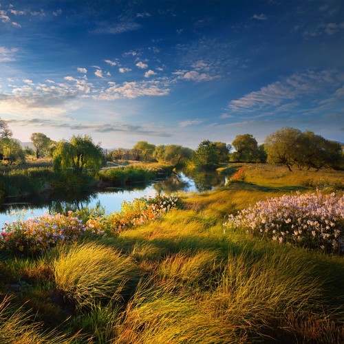 Música Para La Armonía: Tonos Equilibrados Y Suaves