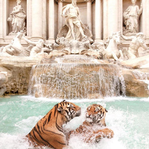 AFFLICTION, Pt. 1 (Explicit)