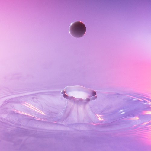 The White Noise Playlist: Tropical Summer Rain for Meditation