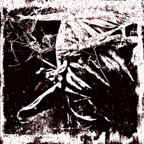 They Laughed As I Bled , I’ll Carve The Joy From Their Throat