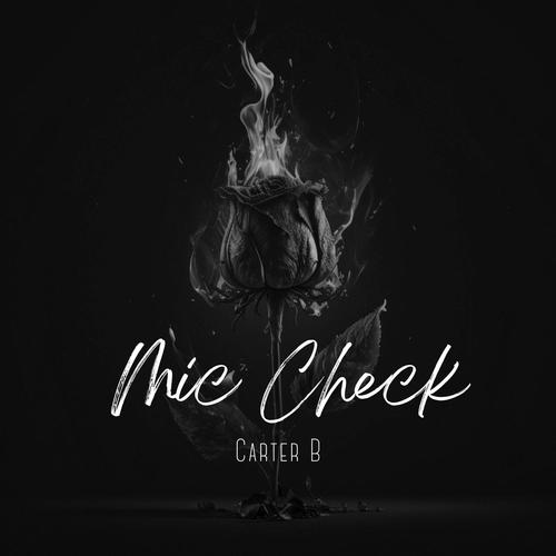 Mic Check (Explicit)