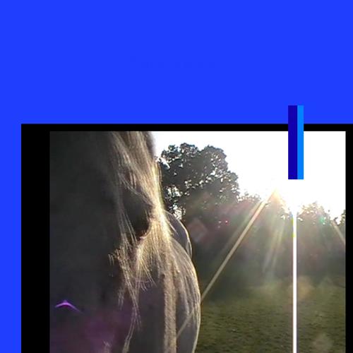 bleus chevals (Explicit)