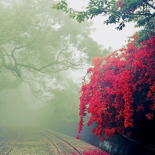 Summer Skin (Explicit)