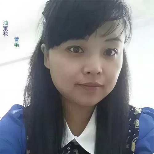 油菜花