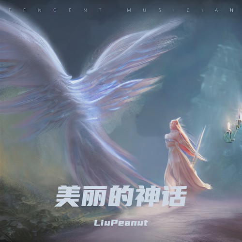 美丽的神话 (Electro DJ)