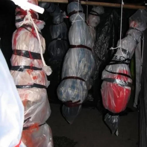 toyotasouljah (feat. Shmack) [Explicit]