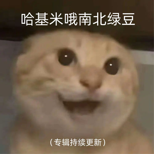 哈基米哦南北绿豆