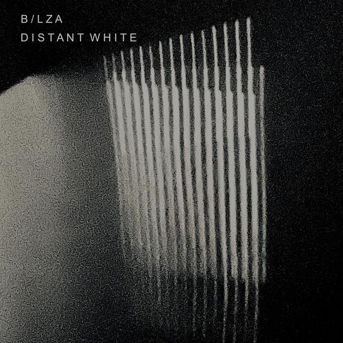 Distant White