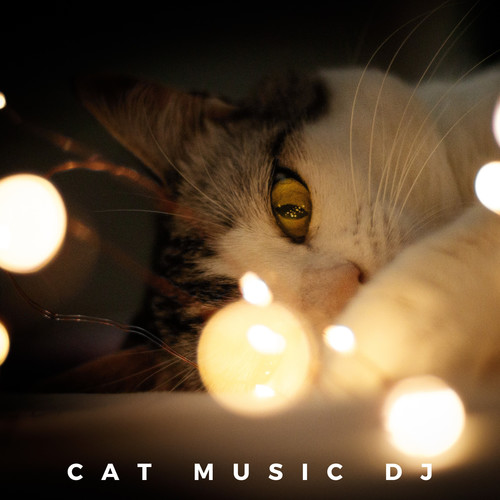 Relaxing Piano For Cats