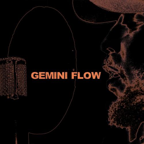 GEMINI FLOW
