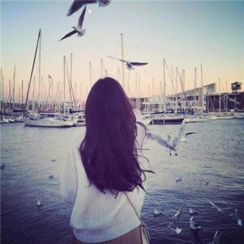 飞向别人的chuang