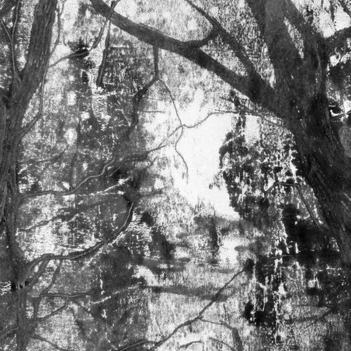 Burn it (feat. Jwasabi) [Explicit]