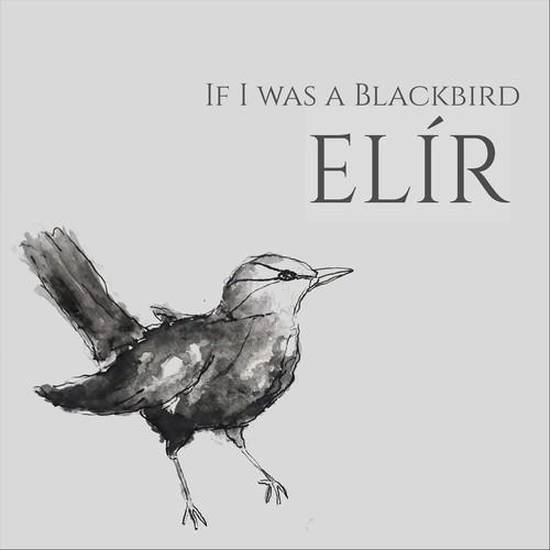 If I Was a Blackbird