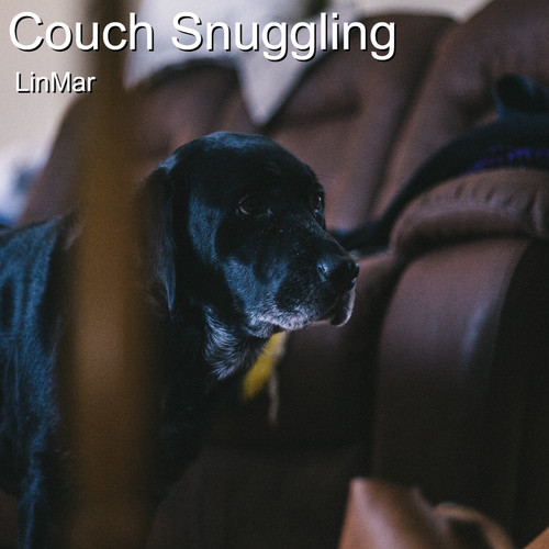 Couch Snuggling