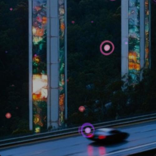 star sanctuary