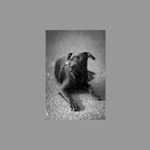 DJANGO FREESTYLE (Explicit)