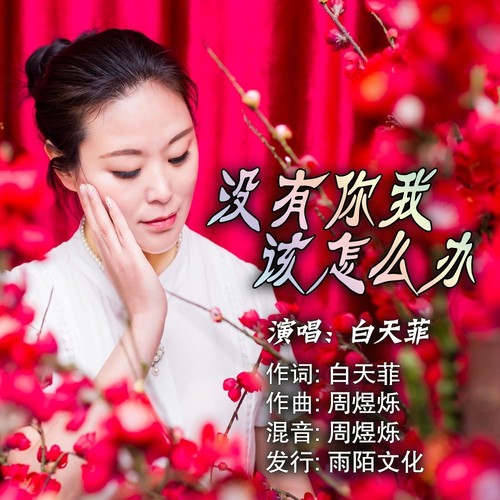 没有你我该怎么办