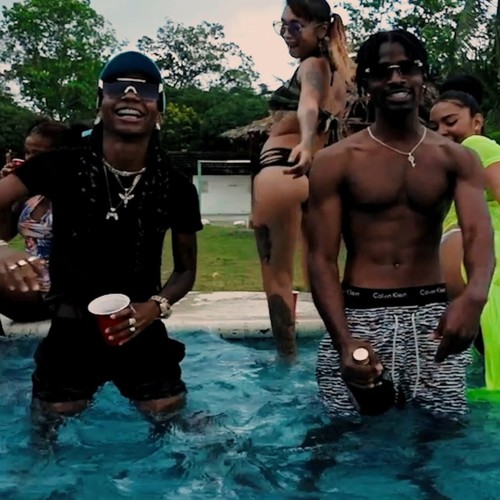 She Like That (feat. Anubikiss) [Remix] [Explicit]