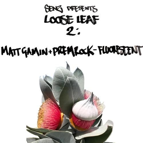 Fluorescent (feat. Matt Gamin & PremRock) [Explicit]