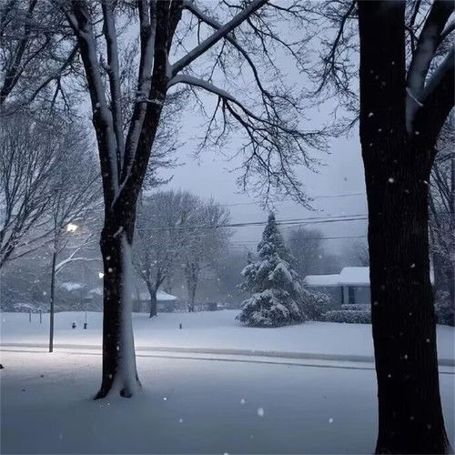 喜欢和爱是不一样的