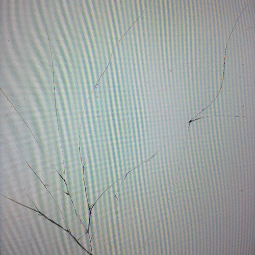 lovenoxyu.. (Explicit)