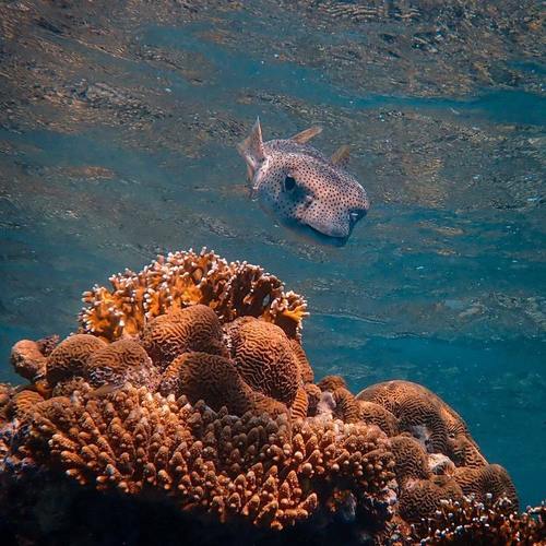 嬉皮士自制小音乐