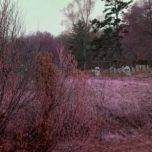 Close My Eyes (feat. Shino Zen) [Explicit]