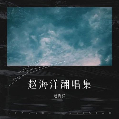 赵海洋演奏改编集2023