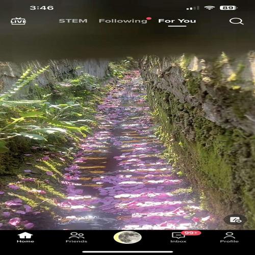 Trout (feat. MOSH) [Explicit]