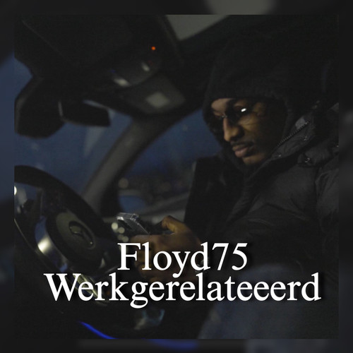 Werk gerelateerd (Explicit)