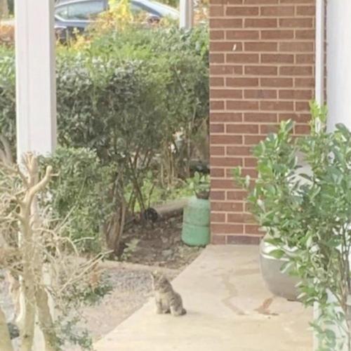 uh uh (feat. rodneyy) [Explicit]