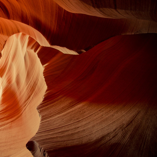 想某人(舒爽版)