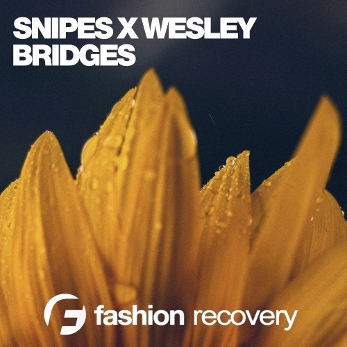 Bridges