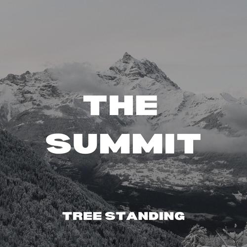The Summit (Explicit)